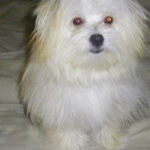 Meet your Posher, Dorothy